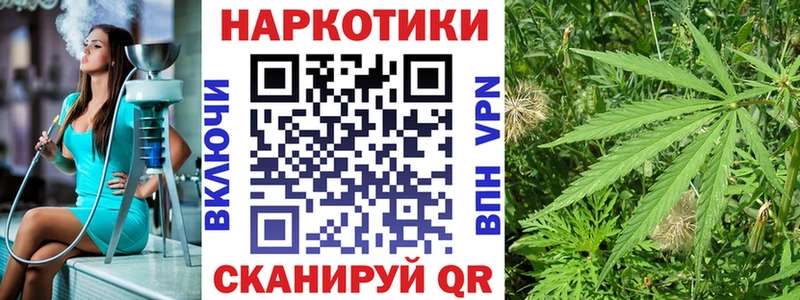 Галлюциногенные грибы Каменск-Шахтинский