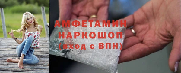 индика Волоколамск