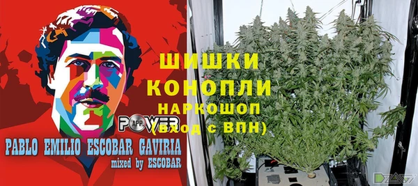 гидропоника Верхний Тагил