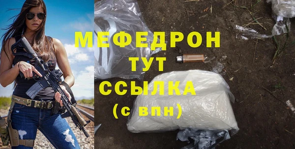 индика Волоколамск