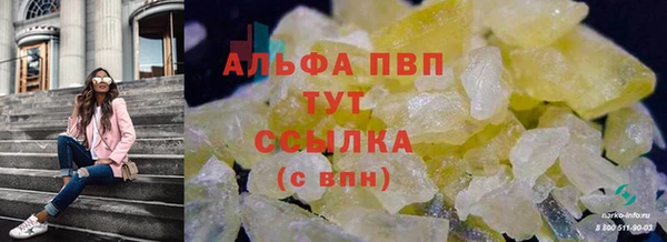 спиды Верея